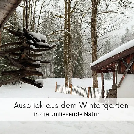 Daire Deine Auszeit An Der Talstation Winklmossalm - Skifahren Und Wandern Direkt Ab Der Haustuer